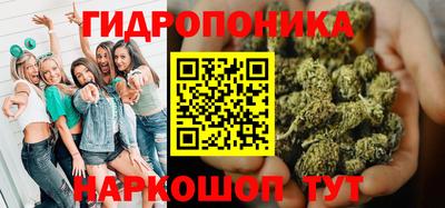 гашик Новозыбков