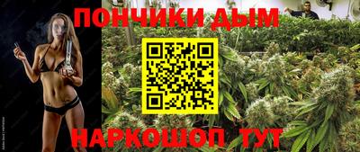 гашик Новозыбков
