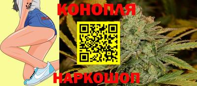 гашик Новозыбков