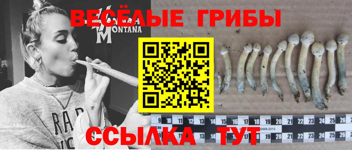 Псилоцибиновые грибы MAGIC MUSHROOMS  Вход с VPN  Черкесск 